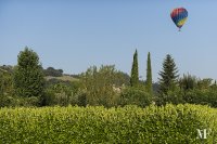 ballons_todi 112 july 19 2014